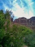 100-CIMG0065 CIMG0065