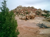 100-CIMG0068 CIMG0068