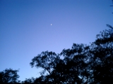 100-CIMG0076 CIMG0076