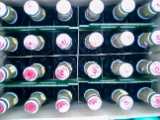 100-CIMG0078 CIMG0078
