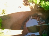 100-CIMG0093 CIMG0093