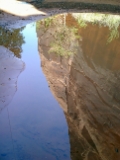 100-CIMG0099 CIMG0099