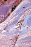 crop0066