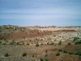 CIMG0157