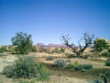 CIMG0119