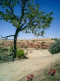 CIMG0120