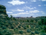 CIMG0125