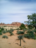 CIMG0139