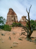 CIMG0140