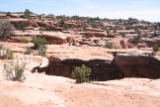 IMG 0374