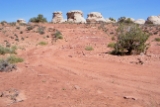 IMG 0423