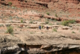 IMG 0104