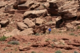 IMG 0155