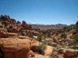 IMG 0580