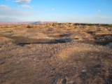 IMG 0610