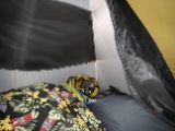 IMG 0619