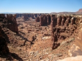 IMG 0631