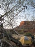 IMG 0648