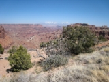 IMG 0659