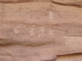 IMG 1556