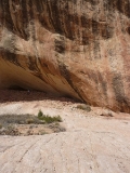 20100413 2271