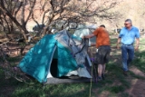 20100414 2451