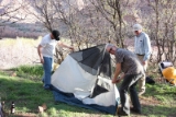 20100414 2470