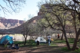 20100414 2474
