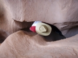 boulder081