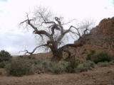 boulder086