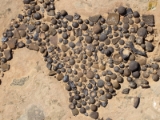 moab005