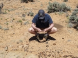 moab007