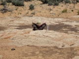 moab008