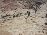 moab016