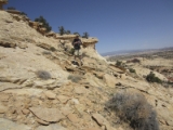 moab017