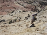 moab018