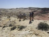 moab019