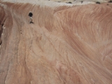 moab028