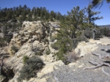 moab066