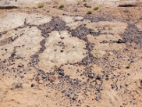 moab104