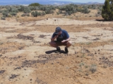 moab105