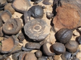 moab106