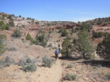 moab118