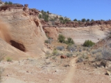 moab121