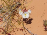 DSCN0180