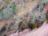 DSCN0199