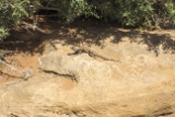 IMG 0008 1