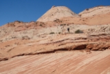 IMG 0011