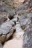 123