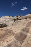IMG 0408